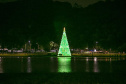 NATAL