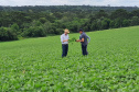 IDR-Paraná e Embrapa-Soja iniciam Giro Técnico da Soja Safra 2023/2024