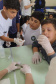 Sanepar realiza ações de sustentabilidade com estudantes em manancial de Bituruna