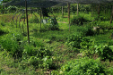 IDR PRODUÇÃO AGRÍCOLA