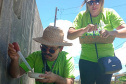  Mutirão contra a dengue mobiliza equipes da saúde no Litoral 