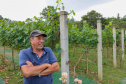 Outras bebidas paranaenses premiadas internacionalmente são os vinhos da Vinícola Franco Italiano, de Colombo. 