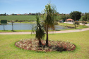 IAT PARQUE ANDIRÁ