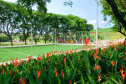 IAT PARQUE ANDIRÁ