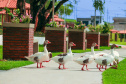 IAT PARQUE ANDIRÁ