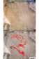 UEPG PINTURAS RUPESTRES