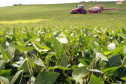 AGRICULTURA 