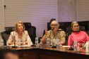 REUNIÃO DENGUE
