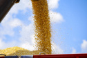 AGRO