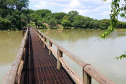  Árvores centenárias são o charme do Parque São Camilo.