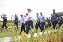 SUSAF SHOW RURAL