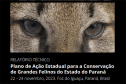 SEDEST - CONSERVAÇÃO GRANDES FELINOS