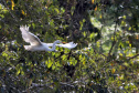 ICMS por Biodiversidade: municípios têm até 30 de abril para cadastrar novas áreas