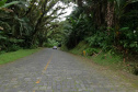 DER Estrada da Graciosa