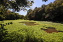 ICMS por Biodiversidade: municípios têm até 30 de abril para cadastrar novas áreas