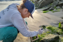 Estruturas marítimas construídas em Matinhos começam a ser colonizadas pela fauna incrustante