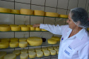 SEI PRODUTORES ARTESANAIS 