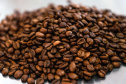 CAFÉ EXPOLONDRINA