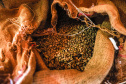 CAFÉ EXPOLONDRINA