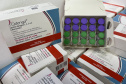 VACINA DENGUE APUCARANA