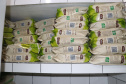 Com investimento de R$ 78 milhões, Fundepar entrega nova remessa de alimentos às escolas