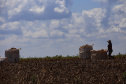 RURAL