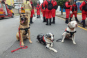 CERTIFICAÇÃO DE CÃES BOMBEIROS