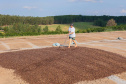 BOLETIM AGRO