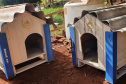 SESP CASINHAS CÃES RESGATADOS RS