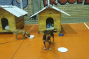 SESP CASINHAS CÃES RESGATADOS RS
