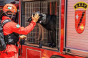 BOMBEIROS
