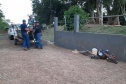 IAT