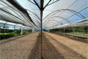 IAT CENTRO DE EDUCAÇÃO AMBIENTAL BURITI