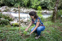 PORTOS DO PARANÁ ÁREA FLORESTAL