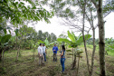 PORTOS DO PARANÁ ÁREA FLORESTAL