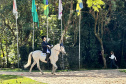 Terapia com cavalos oferecida pela PMPR colabora na qualidade de vida de pessoas com deficiência 