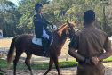 Terapia com cavalos oferecida pela PMPR colabora na qualidade de vida de pessoas com deficiência 