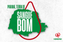 SESA JUNHO VERMELHO