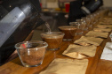 Com apoio do Tecpar, empreendedores vão produzir água especial para o preparo de cafés