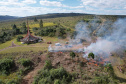 Ação de controle do pinus limpou em junho 11,2 hectares do Parque Estadual de Vila Velha
