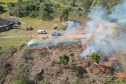 Ação de controle do pinus limpou em junho 11,2 hectares do Parque Estadual de Vila Velha