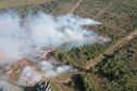 Ação de controle do pinus limpou em junho 11,2 hectares do Parque Estadual de Vila Velha