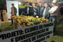 Cerro Azul promove Festa da Ponkan com apoio do Governo do Estado