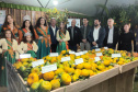 Cerro Azul promove Festa da Ponkan com apoio do Governo do Estado
