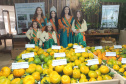 Cerro Azul promove Festa da Ponkan com apoio do Governo do Estado