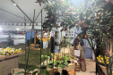 Cerro Azul promove Festa da Ponkan com apoio do Governo do Estado