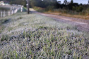 Após recorde de frio, temperatura sobe e Paraná volta a ter veranicos de inverno