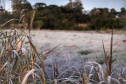 Após recorde de frio, temperatura sobe e Paraná volta a ter veranicos de inverno