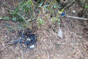 Sujeira deixada por visitantes impacta diretamente na qualidade da água de fontes do Parque Estadual Pico Paraná.