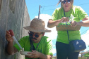 BALANÇO SESA AÇÕES EFETIVAS COMBATE DENGUE